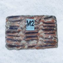 식당용/업소용 선동오징어 2M사이즈 20kg (포크 냉동), 1개