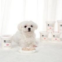 도러블 펫 아이스크림 120ml 세트 소형견 중형견 강아지 간식, 딸기 2개+블루베리 2개