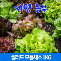 [양평유기농쌈채소] [물맑은 양평] 지평 농부 샐러드 모듬채소(1kg)