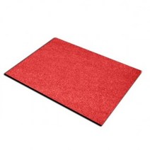 [가성비 최고]현관매트 매직크린 120X100cm 해피론TR YS21MR18