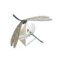 참존과학무게중심 균형 잠자리 만들기(10인용)8633/SS