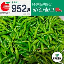 <해돋이농산> 국내산 못난이 청양고추 땡초 매운고추 상품 10kg (1박스) 상세페이지참조, 10kg 상 1박스, 1개” class=”wr-img”></a></div></p></div></p></div></p></div><div class=