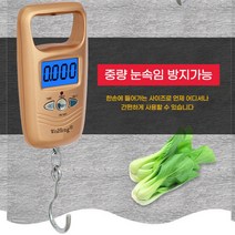 [여행필수품]휴대용 간편 이동식저울 손저울 디지털저울, 손저울 디지털저울1+1