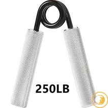 개발자 실내자전거렌탈 손목 복근기구, 250LB