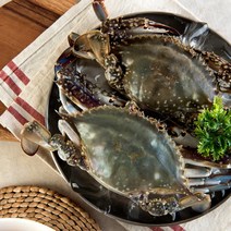 [우체국쇼핑] 산지직송 직접잡는 서천 가을 숫꽃게 5kg (15~18미), 상세 설명 참조