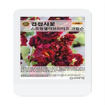 겹접시꽃 스프링셀러브리티즈 크림슨 씨앗 10립 겹접시꽃 꽃씨 씨앗 대장