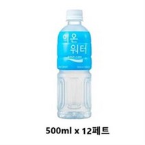 사랑주는쇼핑몰 이온워터 500ml x 12페트, 24개