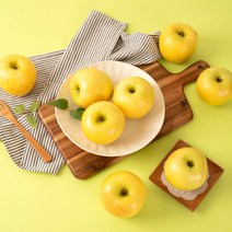 고품질 고당도 정품 선별 시나노골드 황금 사과, 시나노골드 사과 중량 정품 5kg 꼬마과 25-28과, 1개
