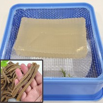 국산 스텐망 묵채 틀 도토리묵 채망 묵채칼 채썰기, 제품선택, 사각묵채 2호, 1개