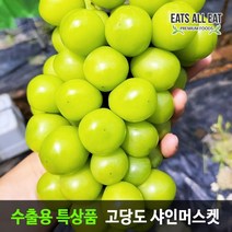 이츠올릿 프리미엄 샤인 머스켓 가정용 1kg 김천 상주 영동 씨없는청포도 머스캣 선물세트, 특품 선물패키지 3수 (2kg)