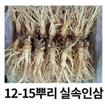실속형 가정용인삼 5년근12-15 뿌리 무료세척 난발삼 삼계탕용 인삼쥬스 금산인삼, 세척원하지않아요(x)