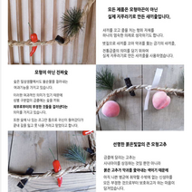 전통 금줄 출산 축하 선물 만들기 새끼줄 출산금줄 축하해주세요 액운 아들딸 임신선물 출산축하선물 태교 출산선물 백일촬영 임산부 신생아 아기 준비물 출산용품 남아 여아 육아 남자 제품, 전통금줄-여자,딸DIY