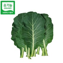 유기농 무농약 즙용 케일, 유기농 즙용케일 1kg