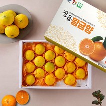 단이와풍이 당일수확 품질보증 황금향 5kg/42~52과
