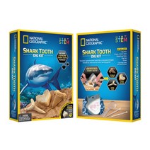 탐험 놀이 상어 이빨 화석 발굴 키트 세트 과학 공룡장난감 어린이 탐구 초등학생 생일선물
