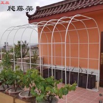 덩굴시렁 정원아치 오벨리스크 정원꾸미기 장미지지대, 흰색폭높이가로폭1.8m2.2m40mc중