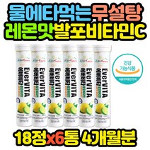 발포비타민 레몬맛 비타민C 무설탕 무카페인 1000 6통 임산부 임신 초기 중기 남편 아내 와이프 선생님