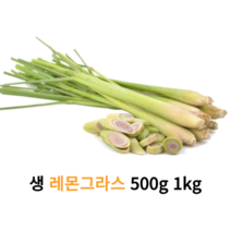 신선한 레몬그라스 500g 1kg 10kg 대용량 업소용 생 레몬그라스 똠양꿍재료 태국요리재료 다카이 다까이 태국샤 아시안푸드