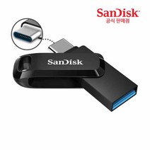 샌디스크 Ultra Dual Drive Go 타입C OTG USB 메모리, 256GB