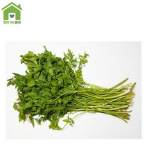 국내산 미나리 둥치미나리 박스미나리 1단 1Kg, 박스미나리500g, 1개