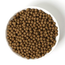 케이웰니스 양배추환 동결건조 양배추 분말 사용 전통 환, 1봉, 2kg