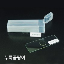 누룩곰팡이 프레파라트(2개)-만들기키트