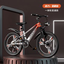 미니스프린터 봉황 마그네슘합금 자전거 8-10- 마운틴바이크 타입학생 수레쉬 기어변속 자동차, T01-기타, C02-20inch활력 은귤 색1체륜 뉴
