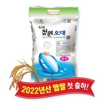 [당일도정] [동철원농협 직접운영] 2022년산 두루웰 철원오대쌀, 햅쌀 4kg
