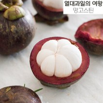 [100% 생과] 햇망고스틴 500g 1kg 태국 망고스틴 제철 생과 2kg 5kg, 2kg (20~28알)