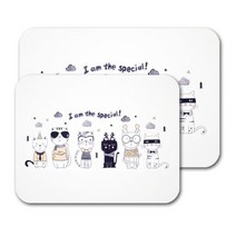 [알티피아] 규조토 발매트 논슬립패드+사포 포함 아임스페셜 M