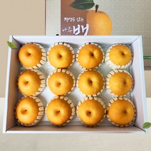 프리미엄 명품 나주배 선물세트 7.5kg, 나주배 7.5kg(11-12과내외)