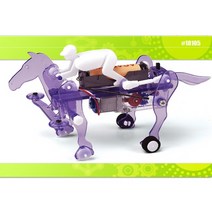차현닷 RUNNING HORSE ROBOT 달리는 승마 로봇