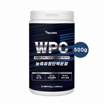 농축유청단백질 WPC 500g 전용스푼 대두레시틴 프로틴 쉐이크 단백질 파우더 헬스 보충제