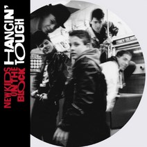 (수입LP) New Kids On The Block - Hangin Tough (Picture Disc LP), 단품