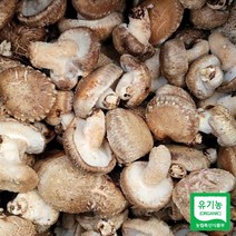 건강의정석 참나무 원목으로 키운 유기농 생 표고버섯(못난이) 1kg, 1개