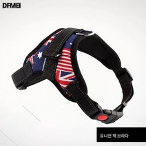 강아지 견인끈 나시형 산책로 강아지끈 테디파두 코키 중형견 소형견 애완견용 가슴끈, 국기 컬러 싱글 가슴과