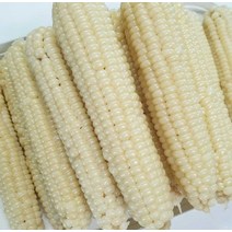 찰옥수수 괴산찰옥수수 냉동찰옥수수30개 다이어트건강식 성인병예방 남여노소 청소년 간식, 상세페이지 참조, 상세페이지 참조
