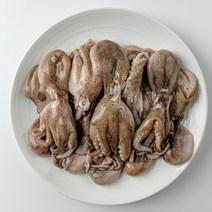 서해 활 주꾸미 1kg 생물 태안 쭈꾸미
