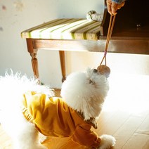 고양이 이갈이장난감 새끼강아지 터그놀이 딸랑이 로프토이 3색상, 브라운