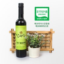 오디 효소 발효액 유기농 이의영 산야초 효소 500ml