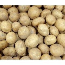포슬포슬 맛있는 햇감자 수미감자 사이즈별, 5kg, 특, 1개