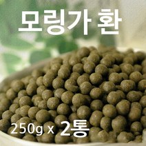인도산 모링가잎 100% 모링가환 250g 2통