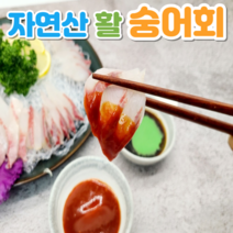 자연산 보리숭어회 숭어회 보리숭어 보리숭어회 숭어회필렛 350g, 숭어회 350g 내외+회초장세트 2팩, 2개