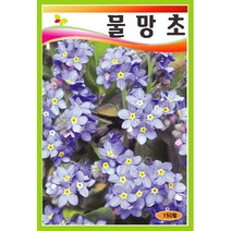 야생화씨앗 씨앗] 물망초 150립