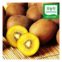 [푸르젠] [해남직송] 무농약 골드키위(해금) 3kg/못난이(개당 70~120g), 상세 설명 참조, 상세 설명 참조