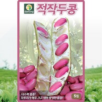 적작두콩 씨앗 콩 씨 종자 5립
