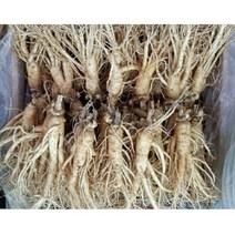 실속형 가정용인삼 5년근 350g 1kg 2kg 무료세척 난발삼 믹서용 홍삼용 꿀절임용, 가정용인삼 2kg(36-40뿌리), 세척원하지않아요(x)