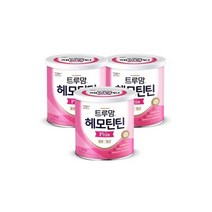 후디스 헤모틴틴 플러스 90g 3캔 -