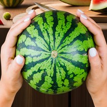 [특등급] 가락청과네 애플수박 4kg 수박화채 화채 수박화채만드는법 고창수박 무등산수박 고당도수박, 상세페이지 참조, 상세페이지 참조