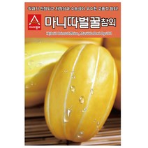 마니따벌꿀참외씨앗 50알 참외 씨앗 종자